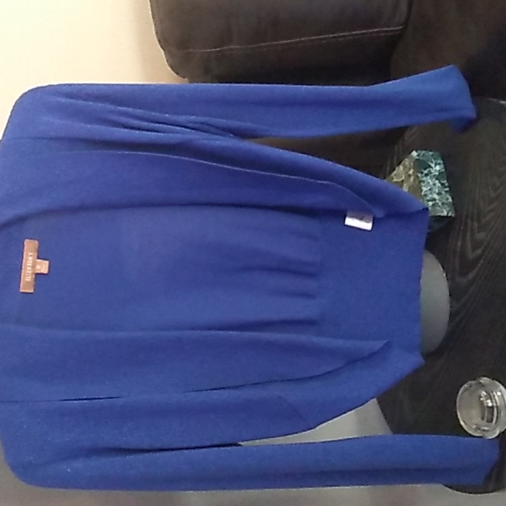 Ellen Tracey metallic royal blue size medium